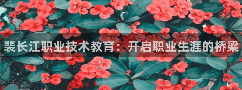 j9九游会官网|裴长江职业技术教育：开启职业生涯的桥梁