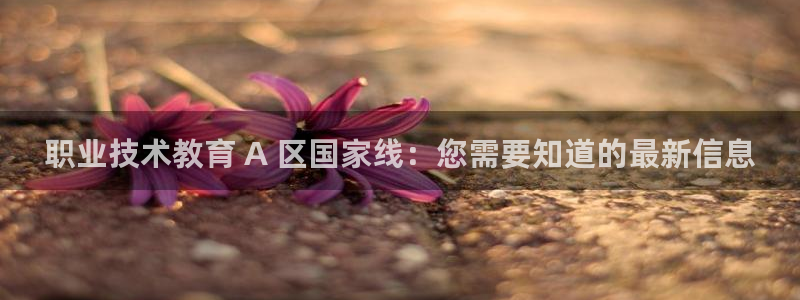 ag九游会j9登录入口旧版|职业技术教育 A 区国家线：您需要知道的最新信息