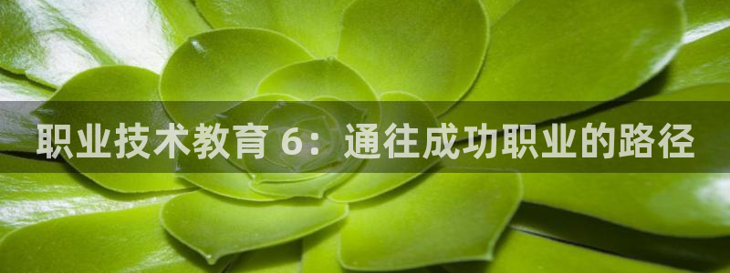 j9九游会(中国)官方网站|职业技术教育 6：通往成功职业的路径