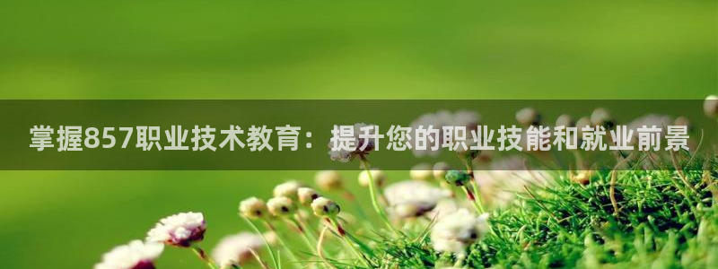 ag亚洲游戏国际平台|掌握857职业技术教育：提升您的职业技能和就业前景
