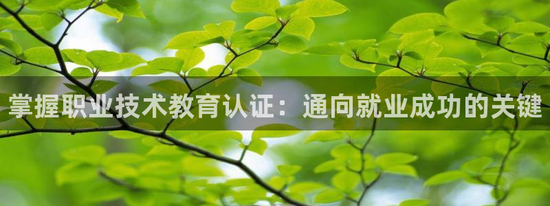 ag九游会j9登录入口旧版|掌握职业技术教育认证：通向就业成功的关键