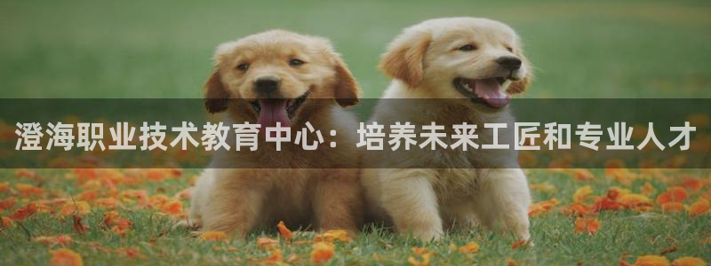 j9电竞官网|澄海职业技术教育中心：培养未来工匠和专业人才