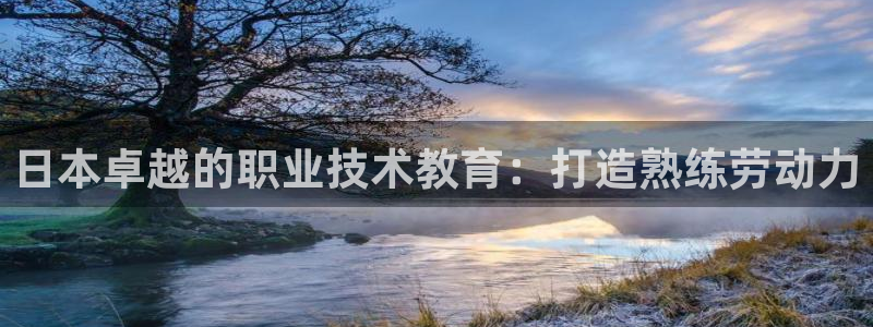 j9国际站官网|日本卓越的职业技术教育：打造熟练劳动力