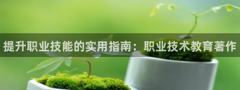 九游会j9备用网址|提升职业技能的实用指南：职业技术教育著作